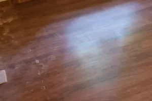 stain flooring